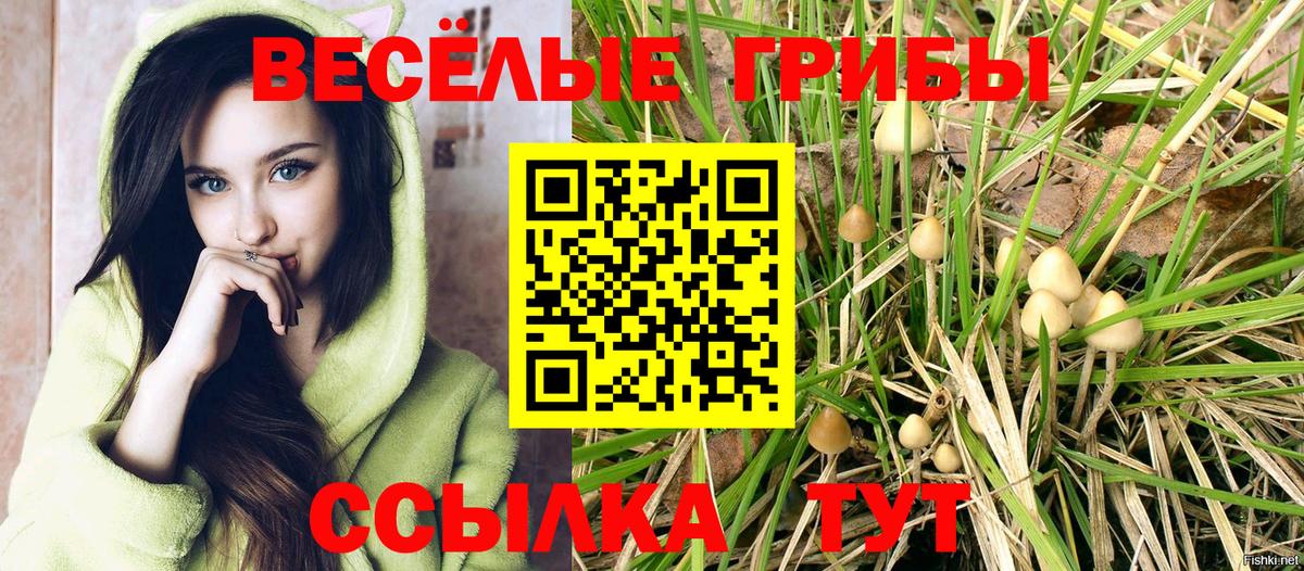 Псилоцибиновые грибы прущие грибы  Вход с VPN  Воркута 