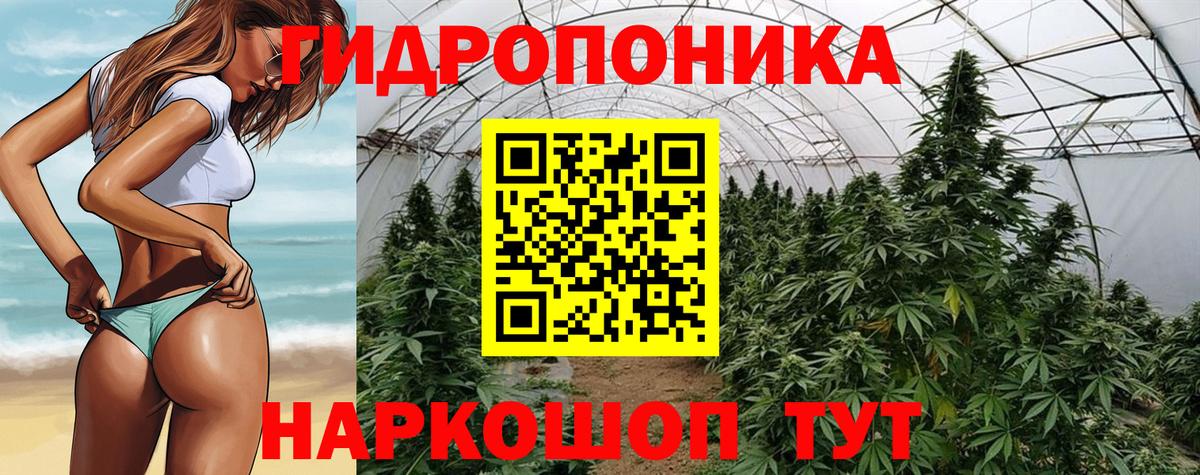 МАРИХУАНА SATIVA & INDICA  Бошки марихуана конопля  Вход с VPN  Воркута  Бошки Шишки гибрид 